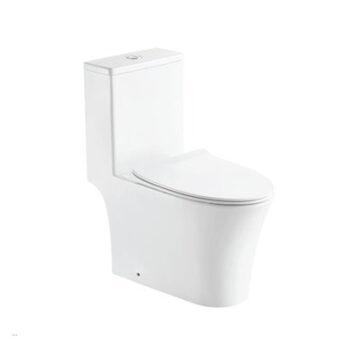 8220One Piece Toilet Washdown